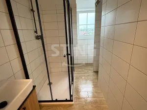 Pronájem bytu 2+1, Opava, Vrchní, 55 m2