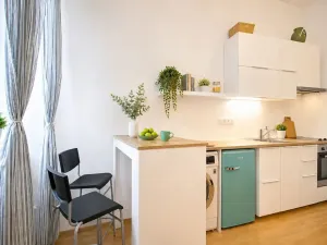 Pronájem bytu 1+kk, Brno, Koliště, 22 m2