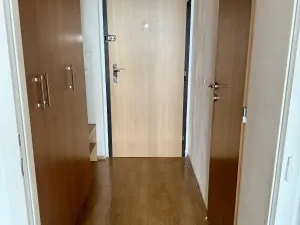 Prodej bytu 1+kk, Ostrava - Moravská Ostrava, Hornopolní, 27 m2