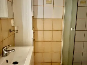 Prodej bytu 1+kk, Ostrava - Moravská Ostrava, Hornopolní, 27 m2