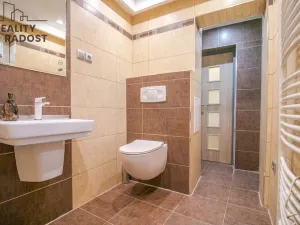 Prodej vícegeneračního domu, Teplice, Teplická, 275 m2