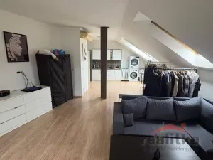 Pronájem bytu 1+kk, Opava - Předměstí, Na Rybníčku, 50 m2