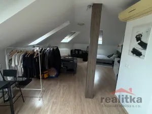 Pronájem bytu 1+kk, Opava - Předměstí, Na Rybníčku, 50 m2