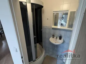Pronájem bytu 1+kk, Opava - Předměstí, Na Rybníčku, 50 m2