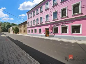 Prodej činžovního domu, Krnov - Pod Cvilínem, Stará, 1100 m2
