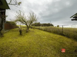 Prodej zahrady, Koloveč, 722 m2