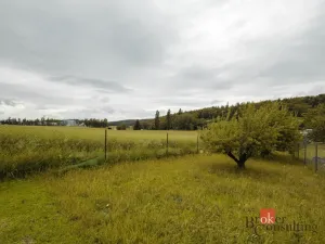 Prodej zahrady, Koloveč, 722 m2