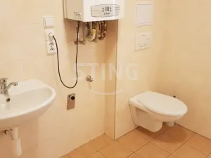 Pronájem bytu 2+kk, Opava, Tyršova, 61 m2