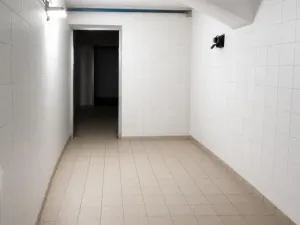 Pronájem výrobních prostor, Český Těšín, 220 m2