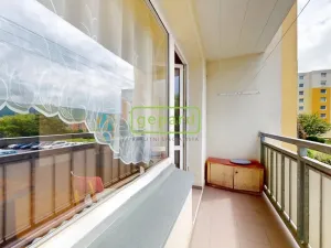 Prodej bytu 2+1, Ústí nad Labem - Krásné Březno, Anežky České, 53 m2