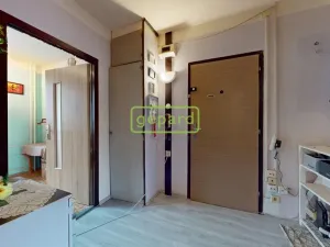 Prodej bytu 2+1, Ústí nad Labem - Krásné Březno, Anežky České, 53 m2
