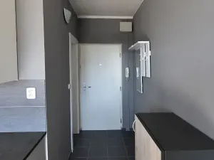 Prodej bytu 1+1, Chomutov, Dřínovská, 36 m2