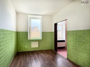 Pronájem bytu 2+1, Háj u Duchcova, Kubátova, 65 m2