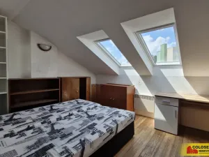Prodej obchodního prostoru, Pohořelice, 350 m2