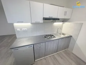 Pronájem bytu 1+kk, Praha - Krč, Bartákova, 35 m2
