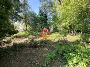 Prodej chalupy, Svojetice, Slepá, 90 m2
