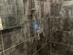 Pronájem bytu 1+kk, Plzeň, Majerova, 15 m2