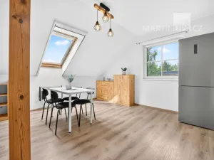 Prodej rodinného domu, Šestajovice, Cyrilov, 366 m2