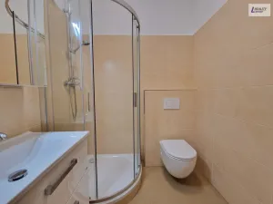 Pronájem bytu 1+kk, Příbram - Příbram VI-Březové Hory, Rožmitálská, 32 m2