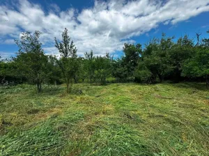 Prodej zemědělské usedlosti, Hulín - Chrášťany, 370 m2
