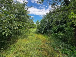 Prodej zemědělské usedlosti, Hulín - Chrášťany, 370 m2