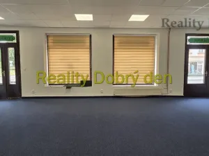 Pronájem obchodního prostoru, Opava, Olomoucká, 117 m2