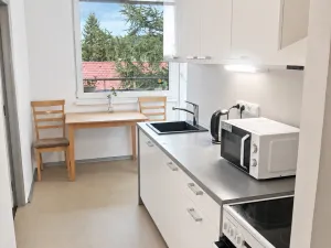 Pronájem bytu 2+1, Prachatice, Sokolovská, 67 m2