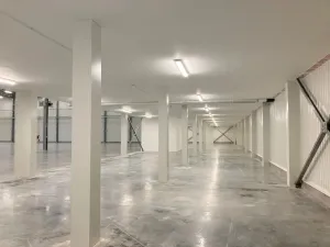 Pronájem skladu, Bílina, Radovesická, 13211 m2