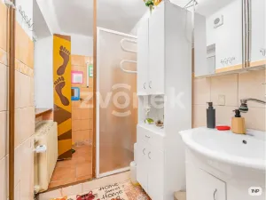 Prodej rodinného domu, Zlín, Lešenská, 284 m2