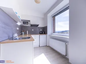 Prodej bytu 1+kk, Staré Město - Stříbrnice, 30 m2