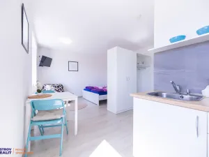 Prodej bytu 1+kk, Staré Město - Stříbrnice, 30 m2