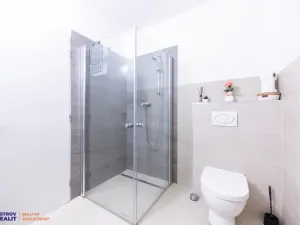 Prodej bytu 1+kk, Staré Město - Stříbrnice, 30 m2