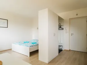 Prodej bytu 1+kk, Staré Město - Stříbrnice, 30 m2