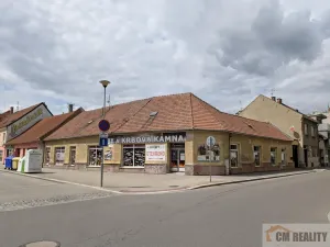 Prodej komerční nemovitosti, Prostějov, Wolkerova, 670 m2