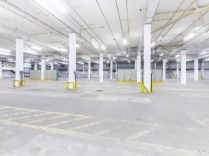 Pronájem skladu, Písek - Budějovické Předměstí, U Vodárny, 3396 m2