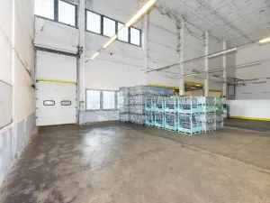 Pronájem výrobních prostor, Písek - Budějovické Předměstí, U Vodárny, 6421 m2