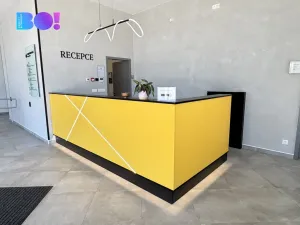 Pronájem kanceláře, Praha, U vinných sklepů, 37 m2