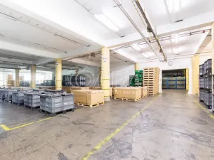 Pronájem skladu, Písek - Budějovické Předměstí, U Vodárny, 3620 m2