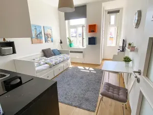 Pronájem bytu 1+kk, Praha - Vinohrady, Polská, 21 m2