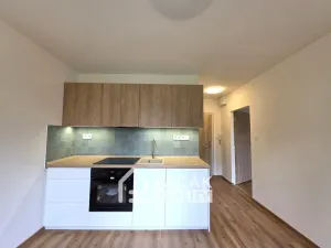 Pronájem bytu 1+1, Olomouc, Hraniční, 35 m2