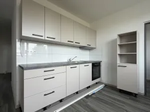 Prodej bytu 2+1, Roudnice nad Labem, Vrchlického, 56 m2