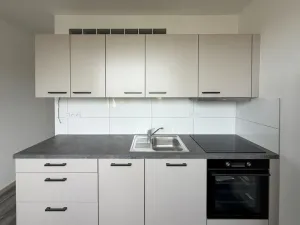 Prodej bytu 2+1, Roudnice nad Labem, Vrchlického, 56 m2
