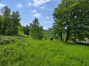 Prodej louky, Oloví, Horní, 420 m2