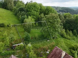 Prodej louky, Oloví, Horní, 420 m2