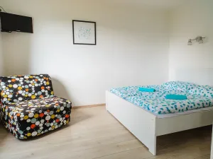 Prodej apartmánu, Staré Město - Stříbrnice, 30 m2