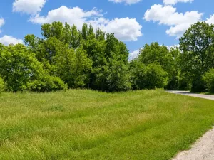 Prodej zahrady, Nová Ves, 658 m2