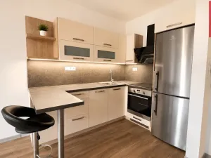Pronájem bytu 2+kk, Opava, Jaselská, 54 m2