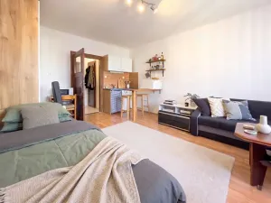 Prodej bytu 1+kk, České Budějovice, Lipenská, 34 m2
