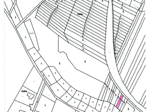 Prodej lesa, Řimovice, 522 m2
