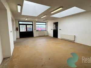 Prodej výrobních prostor, České Budějovice, K Dolíčku, 314 m2